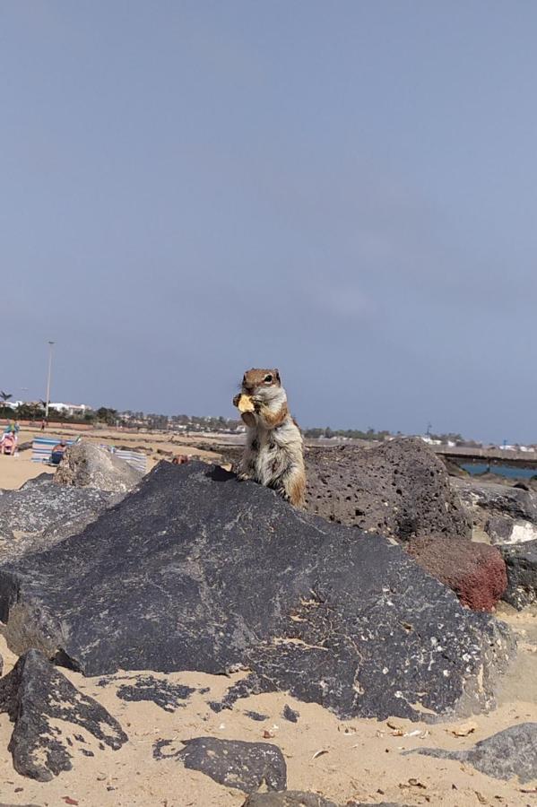 Holiday Rent Fuerteventura Costa De Antigua Kültér fotó